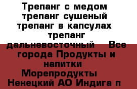 Трепанг с медом, трепанг сушеный, трепанг в капсулах, трепанг дальневосточный. - Все города Продукты и напитки » Морепродукты   . Ненецкий АО,Индига п.